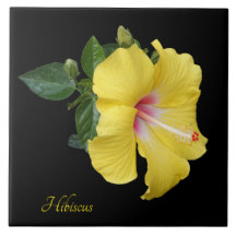 黒かわいらし色の黄色いハイビスカス