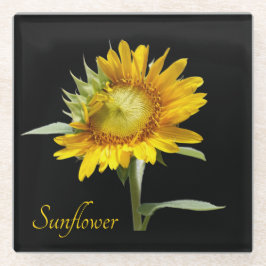 黒かわいらし色の黄色のひまわり ガラスコースター