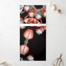 黒き太陽より白い心 & 時間