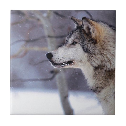 黒くハスキーな犬プロダクト タイル (正面)