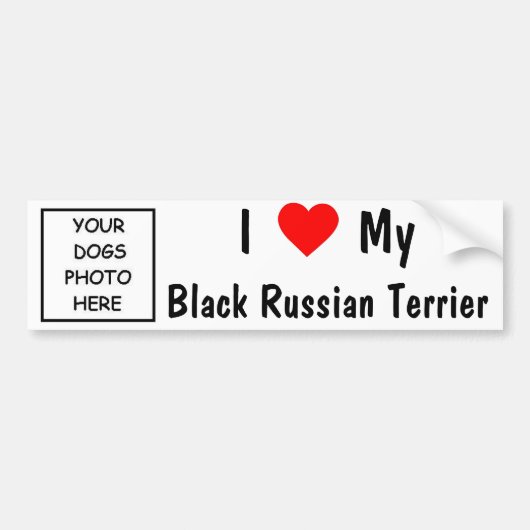 黒くロシアのなテリア バンパーステッカー (正面)
