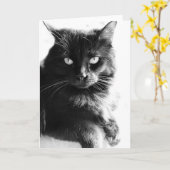 黒く及び白い写真のかわいらしい黒猫、空白のなノート カード (黄色い花)