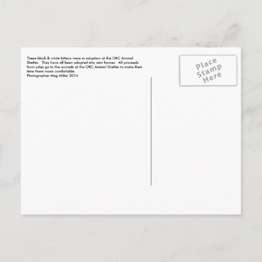 黒く及び白い子ネコ2014年 案内ポストカード (裏面)