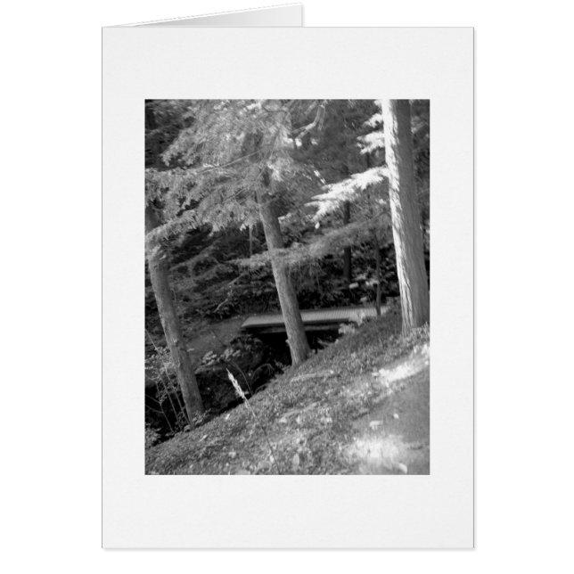 黒く及び白い根の谷間カード (正面)
