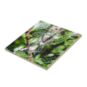 黒く及び黄色のArgiopeの庭くものセラミックタイル タイル (側面)