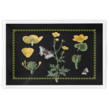 黒く大きいアクリルの皿のRanunculus