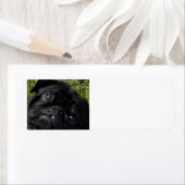 黒く腫れた目 ラベル (インサイチュ)