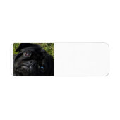 黒く腫れた目 ラベル (正面)