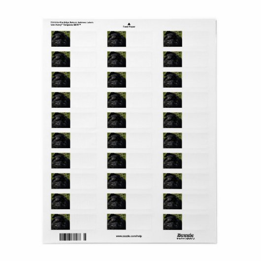 黒く腫れた目 ラベル (フルシート)