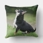 黒く、クリーム色のチワワ クッション (裏面)