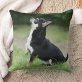 黒く、クリーム色のチワワ クッション (ブランケット)