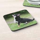 黒く、クリーム色のチワワ コースター (左側)