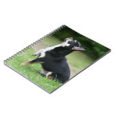 黒く、クリーム色のチワワ ノートブック (左側)