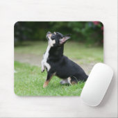 黒く、クリーム色のチワワ マウスパッド (マウス)