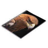 黒で隔離されるワシのポートレート ノートブック (左側)