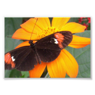 黒とオレンジ フォトプリント           