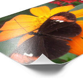 黒とオレンジ フォトプリント            (角)