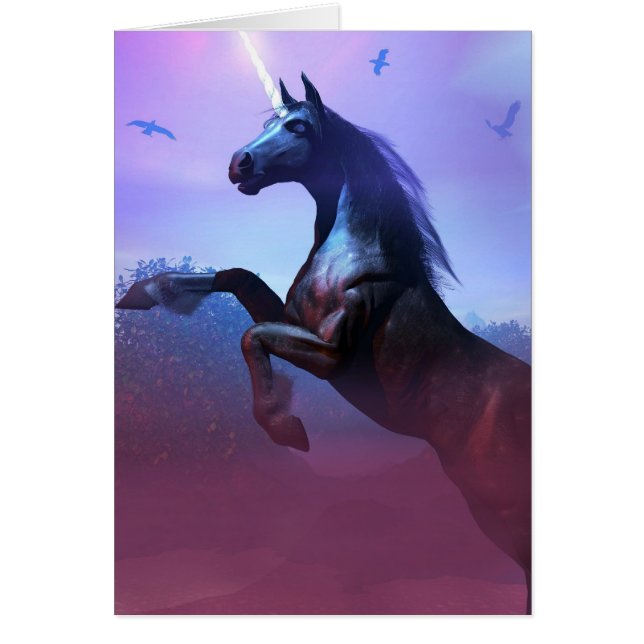 黒とカ威厳のあるード (正面)