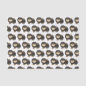 黒とタンのポメラニア犬かわいい漫画の犬のパターン 薄葉紙 (正面)