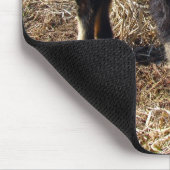 黒とタン・キッド マウスパッド (コーナー)