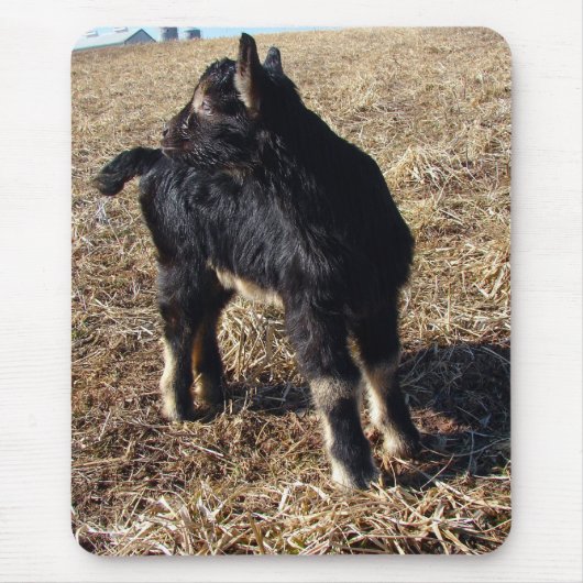 黒とタン・キッド マウスパッド (正面)