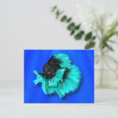 黒とティール(緑がかった色)ベッタフィッシュ ポストカード (スタンド正面)