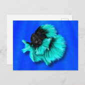 黒とティール(緑がかった色)ベッタフィッシュ ポストカード (正面/裏面)