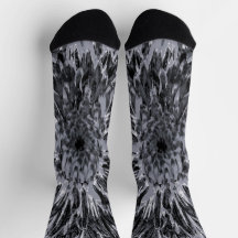 黒と灰色のダリア花