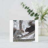 黒と灰色リス ポストカード (スタンド正面)