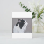 黒と白のあらいぐま猫。 ポストカード (スタンド正面)