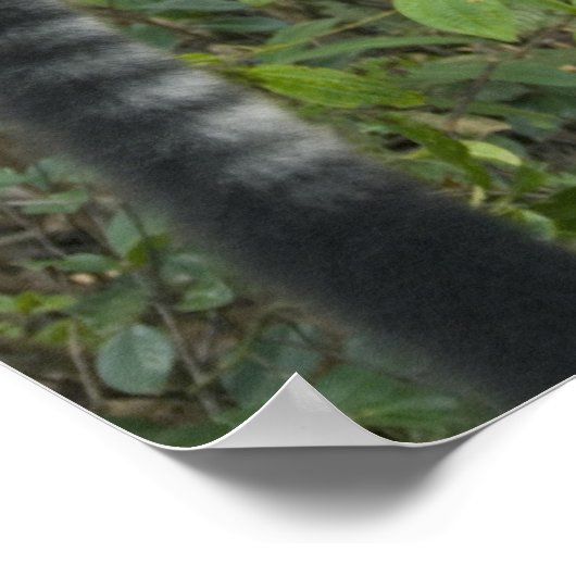 黒と白のざわめき（バレシア） ポスター (角)