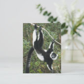 黒と白のざわめき（バレシア） ポストカード (スタンド正面)