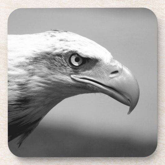 黒と白のイーグルアイ コースター (正面)