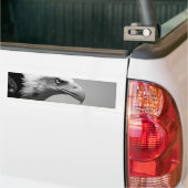 黒と白のイーグルアイ バンパーステッカー (トラック上)