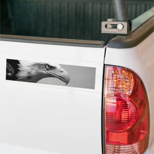 黒と白のイーグルアイ バンパーステッカー (トラック上)