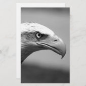 黒と白のイーグルアイ 便箋 (正面/裏面)