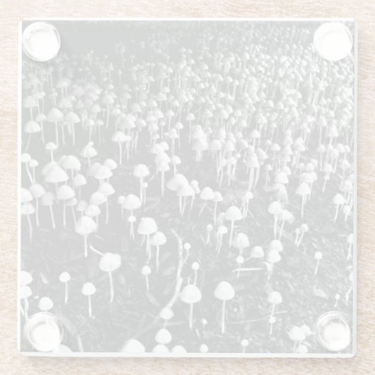 黒と白のキノコのコロニー写真 ガラスコースター (裏面)