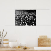 黒と白のキノコのコロニー写真 ポスター (キッチン)