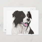 黒と白のコリー色の目 ポストカード (正面/裏面)