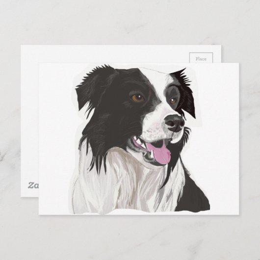 黒と白のコリー色の目 ポストカード (正面/裏面)