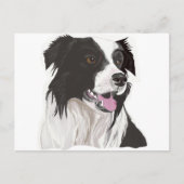 黒と白のコリー色の目 ポストカード (正面)