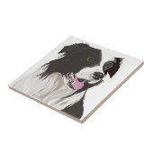 黒と白のコリー茶色の目 タイル (側面)