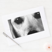 黒と白のゴールデンレトリバー 長方形シール (封筒)