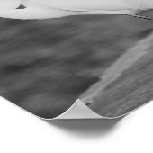 黒と白のサギ トロピカルプリントアート ポスター (角)