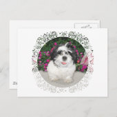 黒と白のシーズー（犬）Tzu子犬レスキュー犬 ポストカード (正面/裏面)