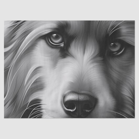 黒と白のスクラッフィーのテリア犬 薄葉紙 (正面)