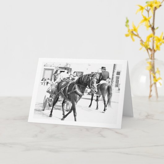 黒と白のスペインの馬の肖像 カード (黄色い花)