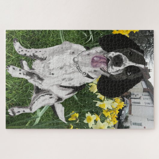 黒と白のスリンガーのスパニエル犬とダフォジル ジグソーパズル (横)