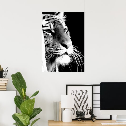 黒と白のタイガーアイズ ポスター (ホームオフィス)