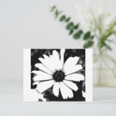 黒と白のダリア ポストカード (スタンド正面)